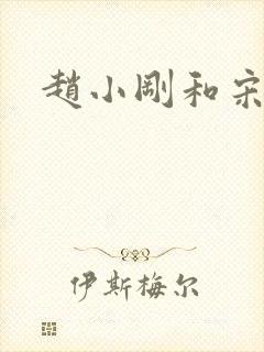 赵小刚和宋雨晴