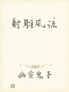 射雕风流