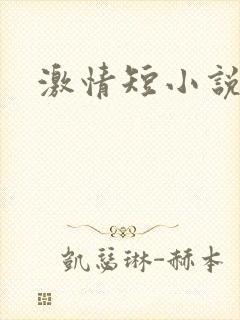 激情短小说