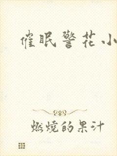 催眠警花小说
