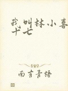 我叫林小喜今年十七