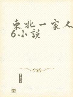 东北一家人1一6小说