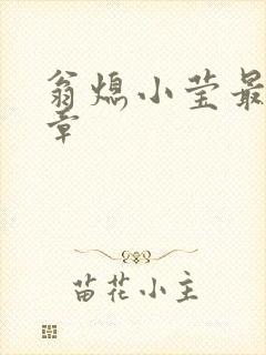 翁熄小莹最新节章