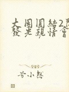 大团圆结2闪闪发光亲情会