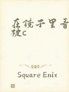 在镜子里看自己被c