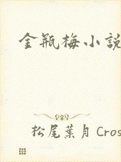 金瓶梅小说下载