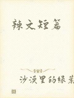 辣文短篇