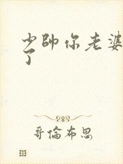 少帅你老婆又跑了