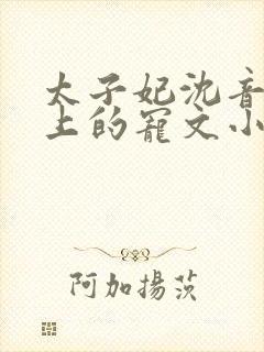 太子妃沈音和皇上的宠文小说