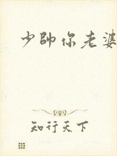 少帅你老婆