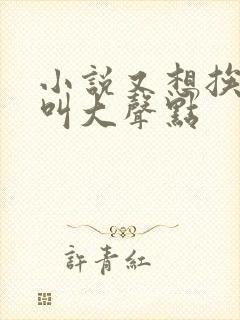 小说又想挨C了叫大声点