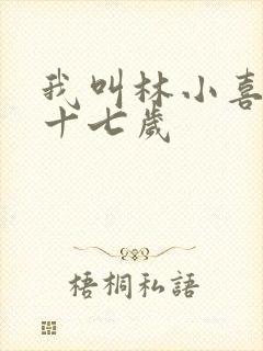 我叫林小喜今年十七岁