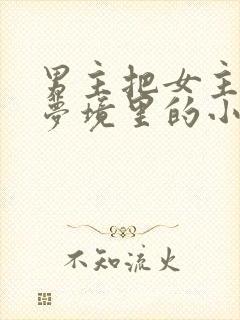 男主把女主拖进梦境里的小说