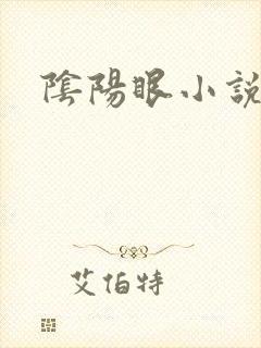 阴阳眼小说