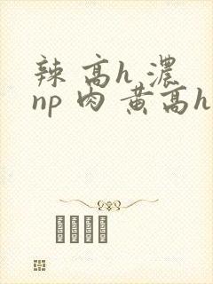 辣 高h 浓 np 肉 黄高h