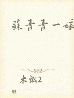 苏青青一嫁三夫