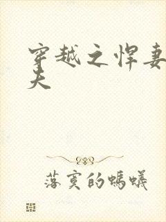 穿越之悍妻共三夫