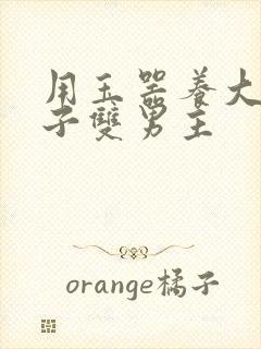 用玉器养大的皇子双男主