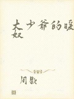 大少爷的暖床小奴