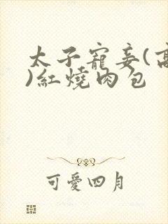 太子宠妾(高肉)红烧肉包