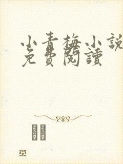 小青梅小说全文免费阅读