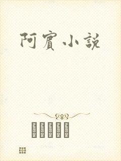 阿宾小说