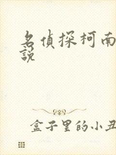 名侦探柯南h小说