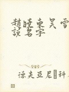 赵晓东吴雪晴小说名字