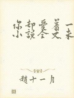 你却爱着一个他小说全文未删减免费