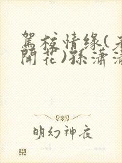 驾校情缘(老树开花)孙潇潇第一次趣笔阁