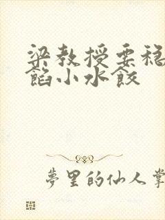 梁教授要稳住肉馅小水饺