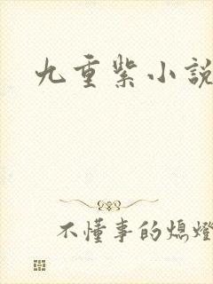 九重紫小说