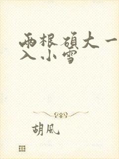 两根硕大一起挤入小雪