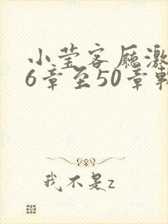 小莹客厅激情46章至50章软件介绍