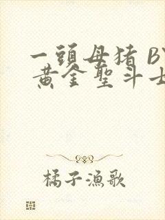 一头母猪 BY 黄金圣斗士