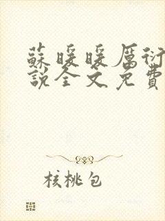 苏暖暖厉衍琛小说全文免费阅读