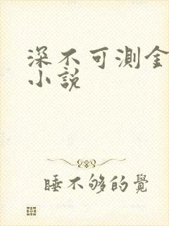 深不可测金银花小说