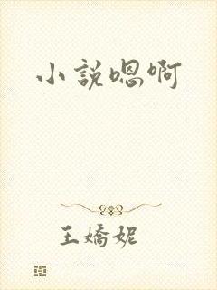 小说嗯啊