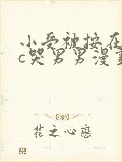 小受被按在墙上c哭男男漫画