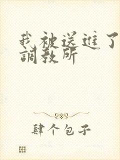 我被送进了私奴调教所