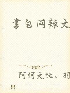 书包网辣文合集