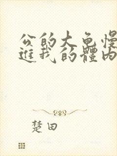 公的大龟慢慢挺进我的体内视频