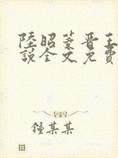 陆昭菱晋王的小说全文免费阅读