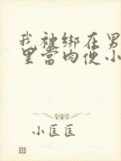 我被绑在男公厕里当肉便小说