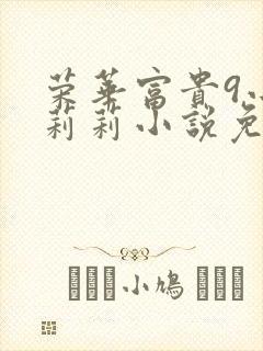 荣华富贵9小王莉莉小说免费阅读