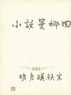 小说曼娜回忆录