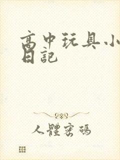 高中玩具小诗的日记