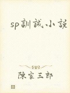 sp训诫小说