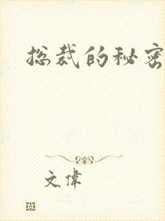 总裁的秘密情人