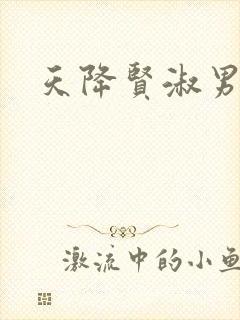 天降贤淑男小说